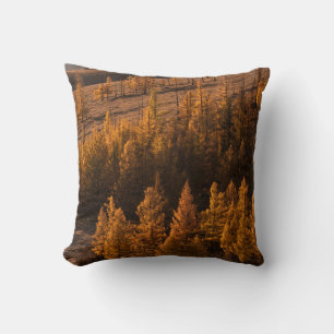 LANDSCAPE PHOTOGRAPHY OF BROWN-LEAFED TREES CUSHION