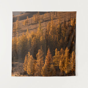 LANDSCAPE PHOTOGRAPHY OF BROWN-LEAFED TREES TAPESTRY