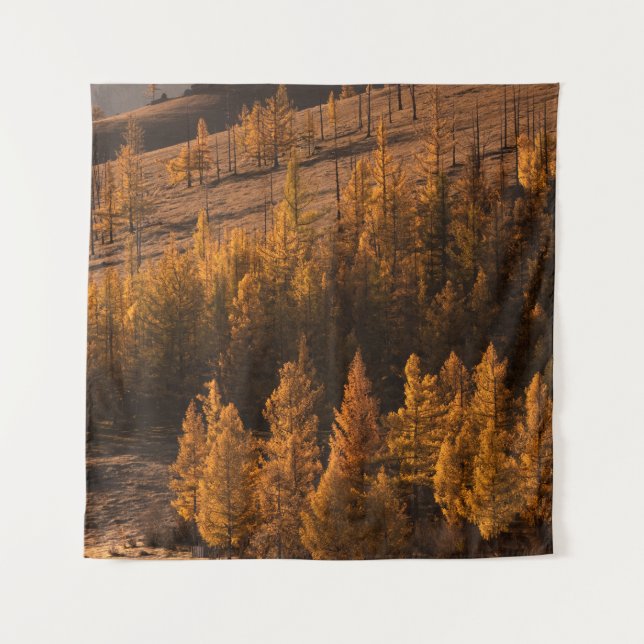 LANDSCAPE PHOTOGRAPHY OF BROWN-LEAFED TREES TAPESTRY (Front)