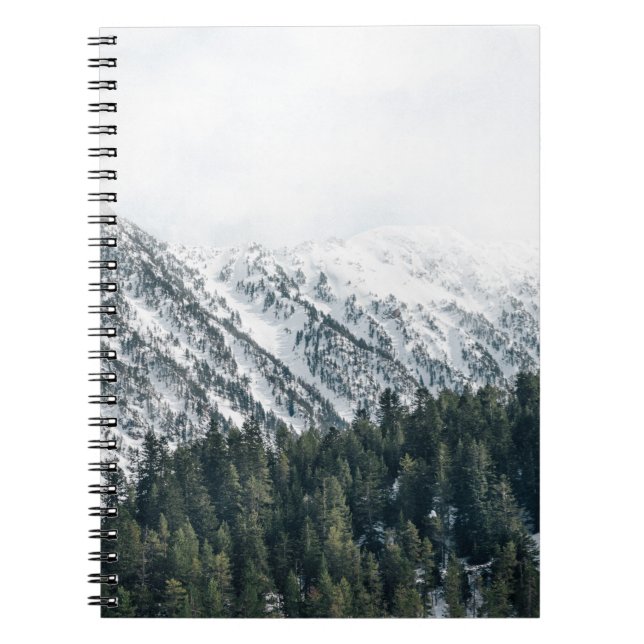 LANDSCAPE PHOTOGRAPHY OF TREES NOTEBOOK (Front)