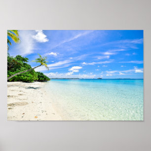 Landscape Photography of Trees on Shoreline Poster
