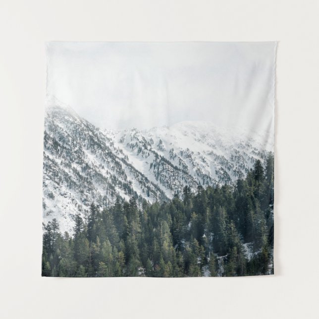 LANDSCAPE PHOTOGRAPHY OF TREES TAPESTRY (Front)