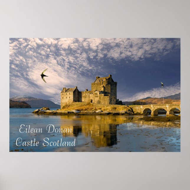 Landscape Poster (Front)