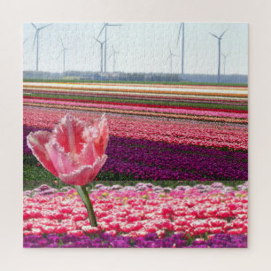 Landscape Puzzle: Pink Purple Tulips Field  Jigsaw Puzzle