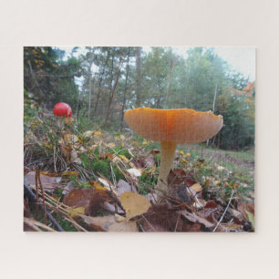 Landscape Puzzle: Two Cute Fly Amanitas Jigsaw Puzzle