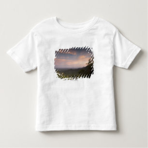 Landscape Under A Sunset Toddler T-Shirt