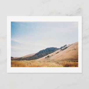 Landscape Western USA Postcard