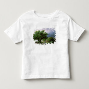 Landscape with a Mill Toddler T-Shirt