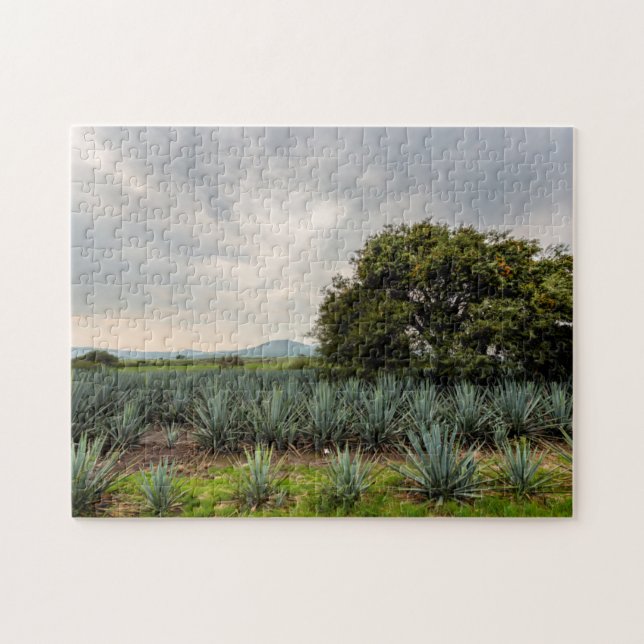 Landscape With Blue Agave Jigsaw Puzzle (Horizontal)