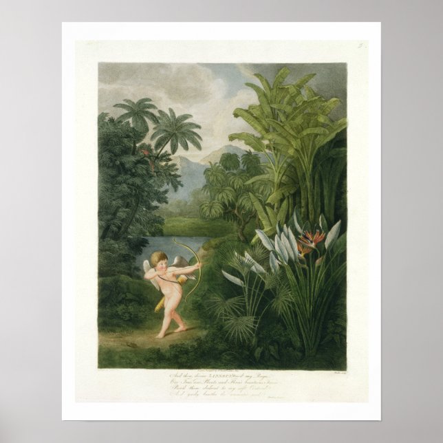 Landscape with Cupid aiming an arrow at a Parrot o Poster (Front)