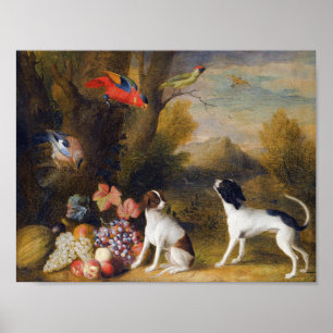 Landscape with exotic birds and two dogs poster