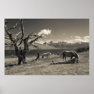 Landscape with horses poster