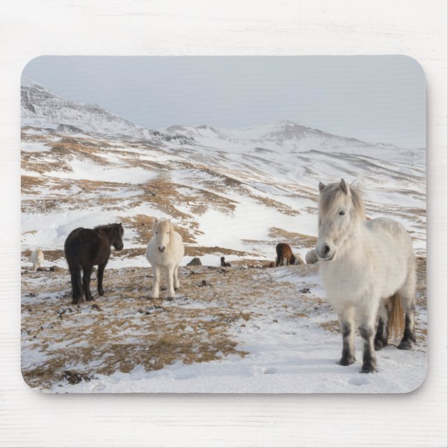 Landscape with Icelandic Horses Mouse Pad (Front)