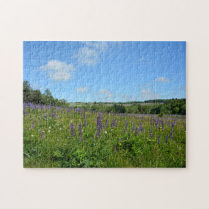 Landscape with lupins  - jigsaw puzzle