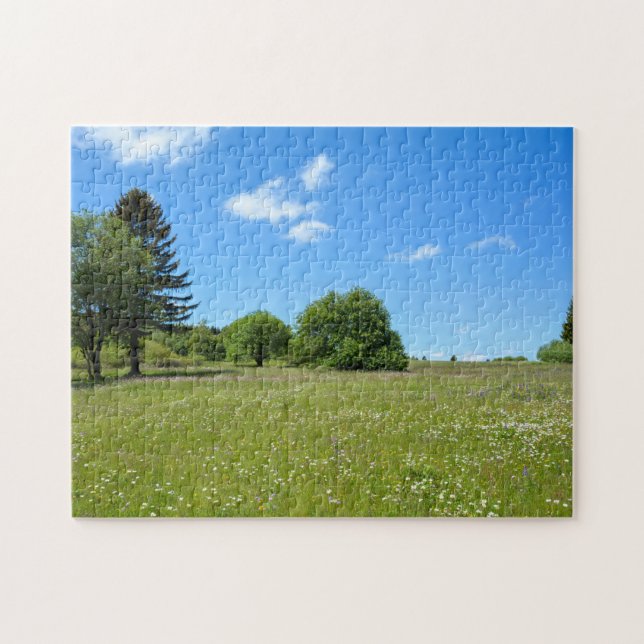 Landscape with meadow  - jigsaw puzzle (Horizontal)