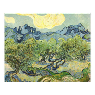 Landscape with Olive Vincent Willem van Gogh   Photo Print