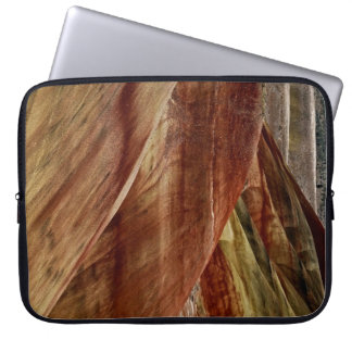 LANDSCAPE WITH PAINTED DUNES DETAILS LAPTOP SLEEVE