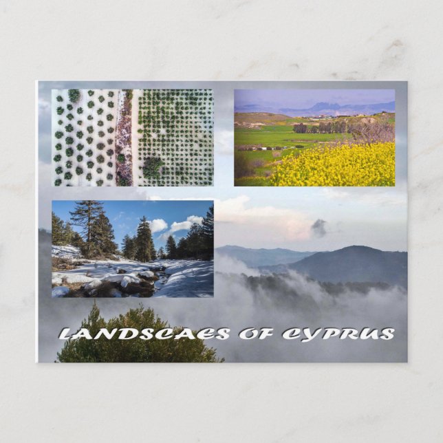 Landscapes of Cyprus postcard (Front)