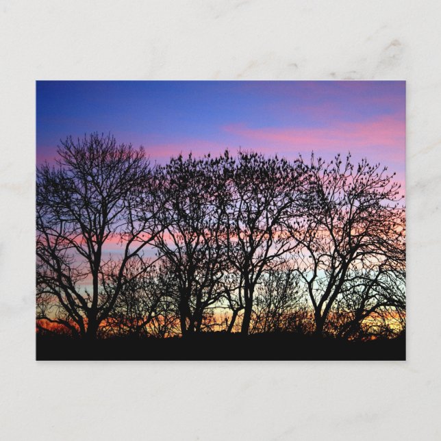 Landscapes Postcard (Front)