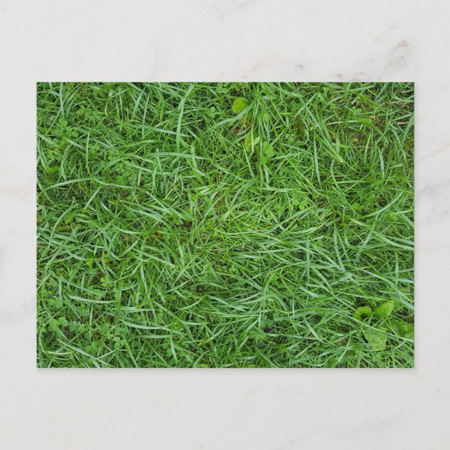 landscaping business grass macro announcement postcard (Front)