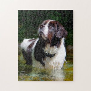 Landseer Dog. Jigsaw Puzzle