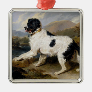 Landseer Newfoundland Dog (Black and White Animal) Metal Ornament