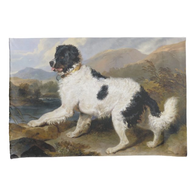 Landseer Newfoundland Dog (Black and White Animal) Pillowcase (Front-Right)