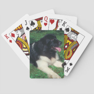 Landseer Newfoundland Dog Playing Cards