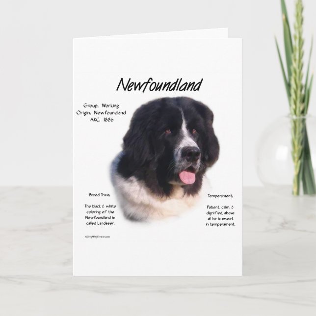 Landseer Newfoundland History; I love Newfies Card (Front)