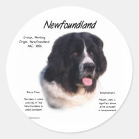 Landseer Newfoundland History; I love Newfies