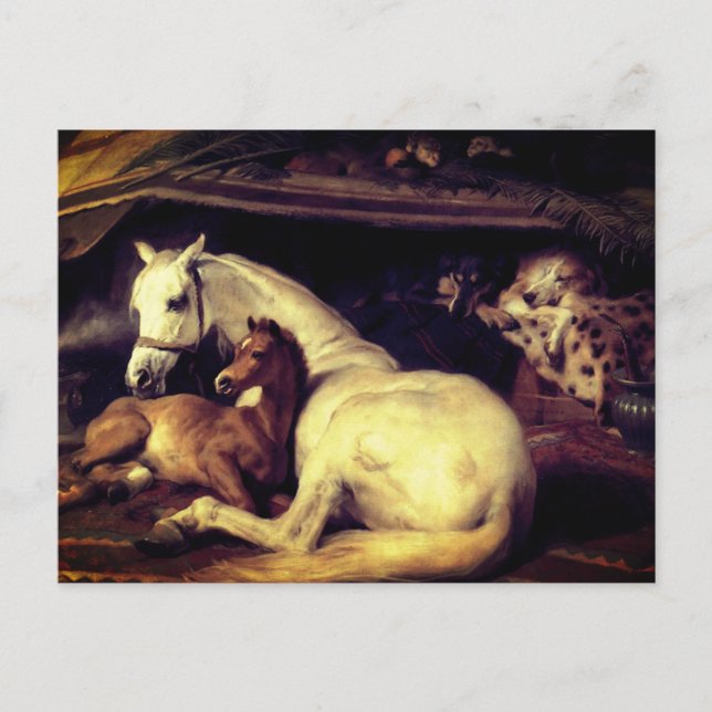 Landseer The Arab Tent Horses Announcement Postcard (Front)