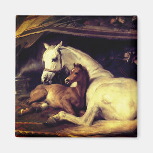 Landseer The Arab Tent Magnet
