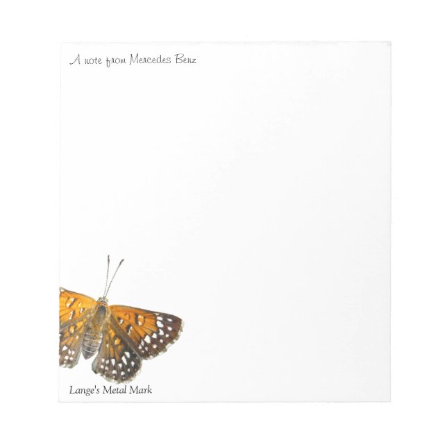Lange's Metal Mark Butterfly Photo Notepads (Front)