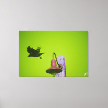 Langley Crow on Light Post Series #5