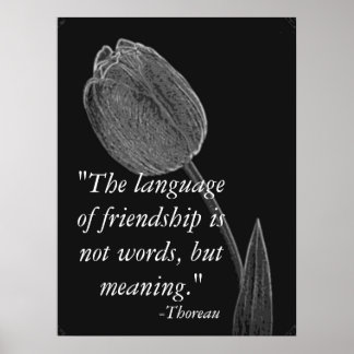 Language Of Friendship Poster. Poster