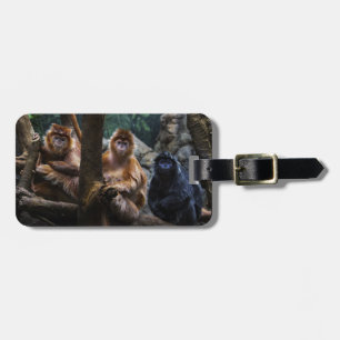 Langur Monkey Luggage Tag