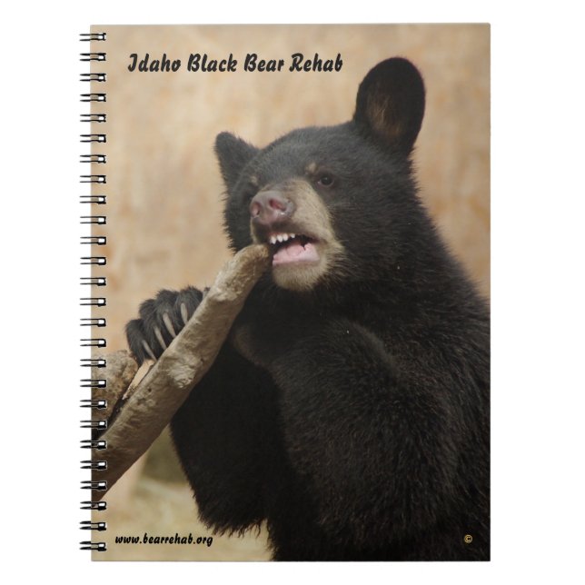 Lanikai Notebook (Front)