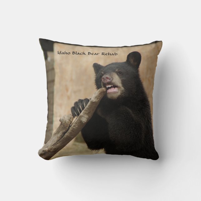 Lanikai Pillow (Front)