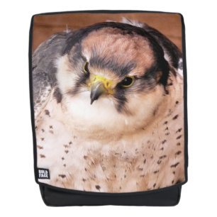 LANNER FALCON BACKPACK