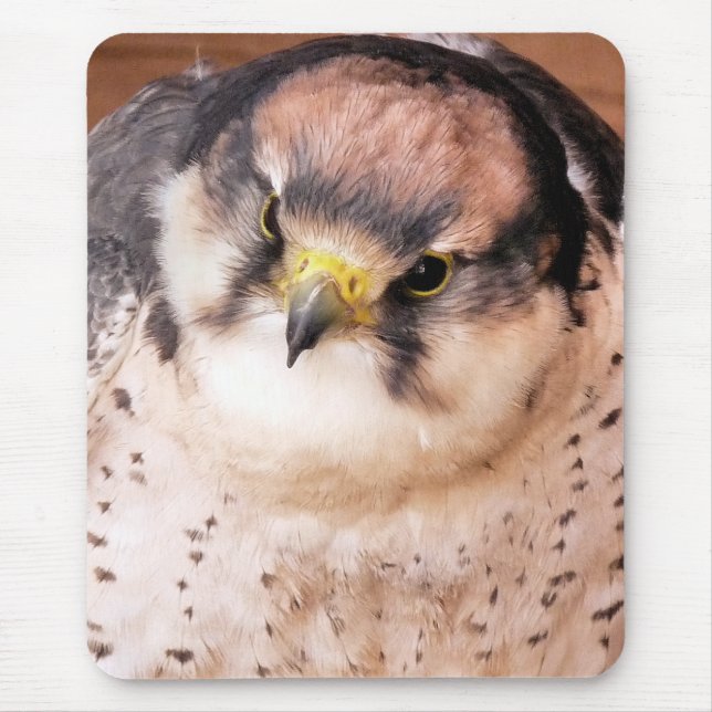 LANNER FALCON MOUSE PAD (Front)