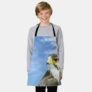 Lanner Falcon perched Apron