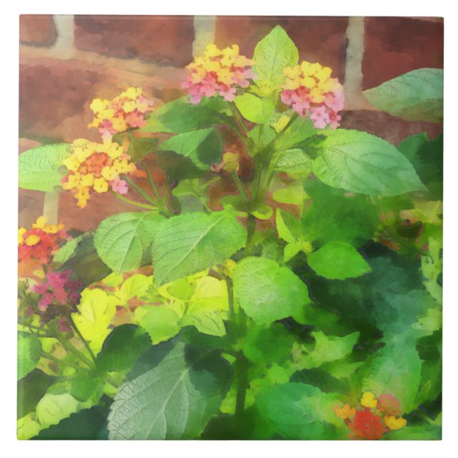 Lantana Against Brick Wall Ceramic Tile (Front)