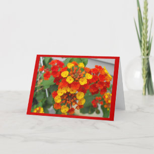 Lantana Card