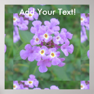Lantana Plant Purple Floral Poster