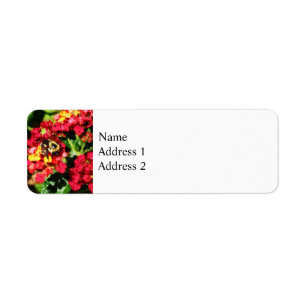 Lantanas and the Bee Return Address Label