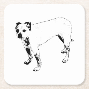 Lantern-Lit Lookout Square Paper Coaster