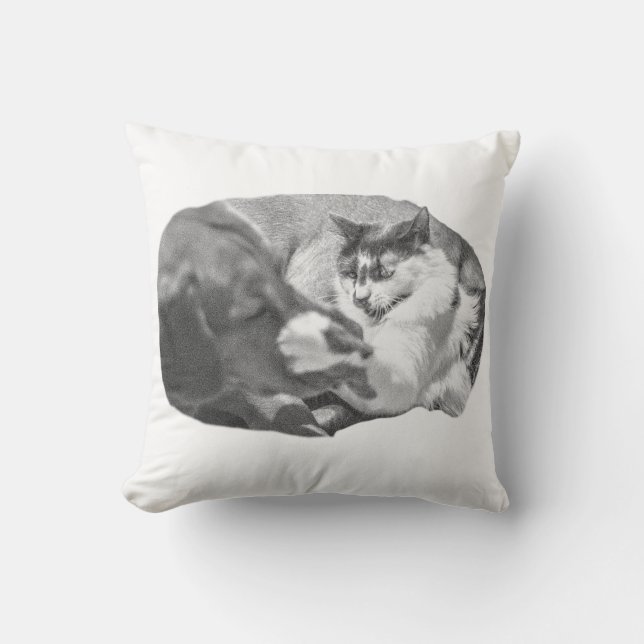 Lantern-Lit Watchers Cushion (Front)