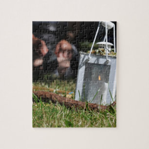 Lantern of light jigsaw puzzle