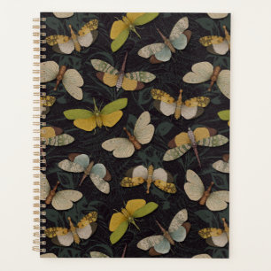 Lanternflies - Pyrops Candelaria & Other Planthopp Planner