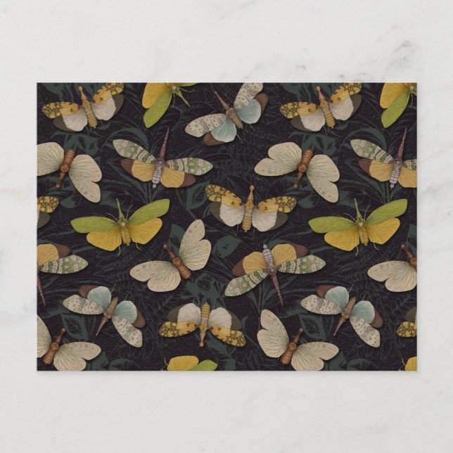Lanternflies - Pyrops Candelaria & Other Planthopp Postcard (Front)